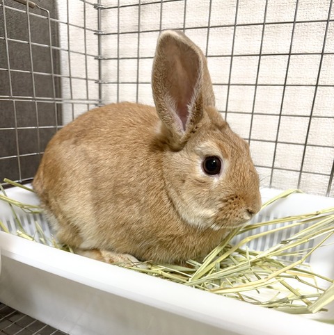 2025-12-06-01-20-28-106