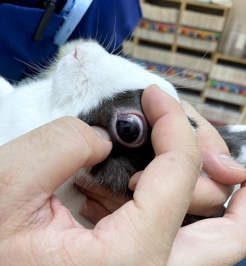 2024-11-02-16-23-05-977