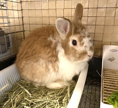 2024-07-27-17-36-32-971