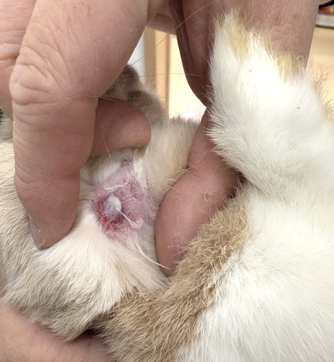 2025-05-08-00-22-39-531