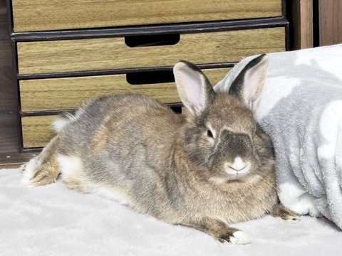 2025-02-03-00-24-00-694