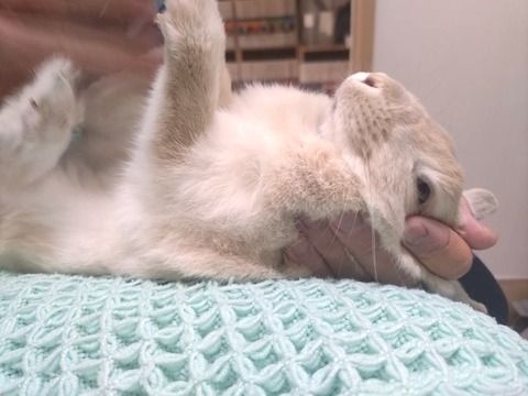 2025-02-03-00-15-59-150