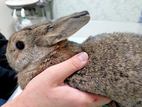 2024-07-27-17-26-29-160