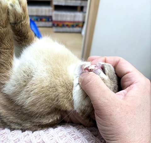 2025-05-08-00-24-14-874