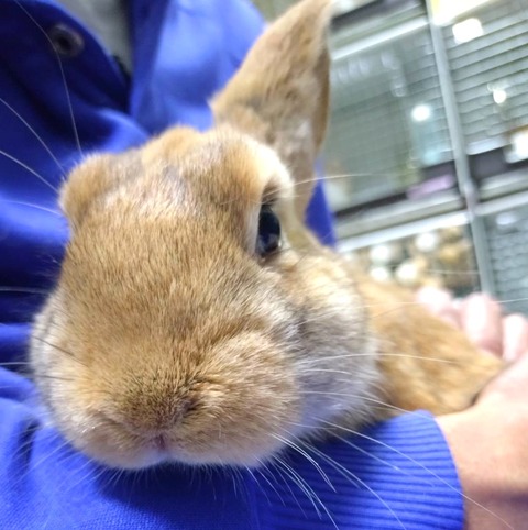 2025-03-11-16-22-07-466