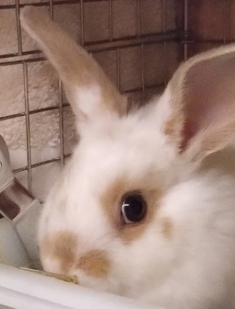 2025-03-11-16-34-44-718