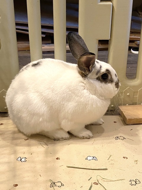 2024-07-27-17-35-13-534