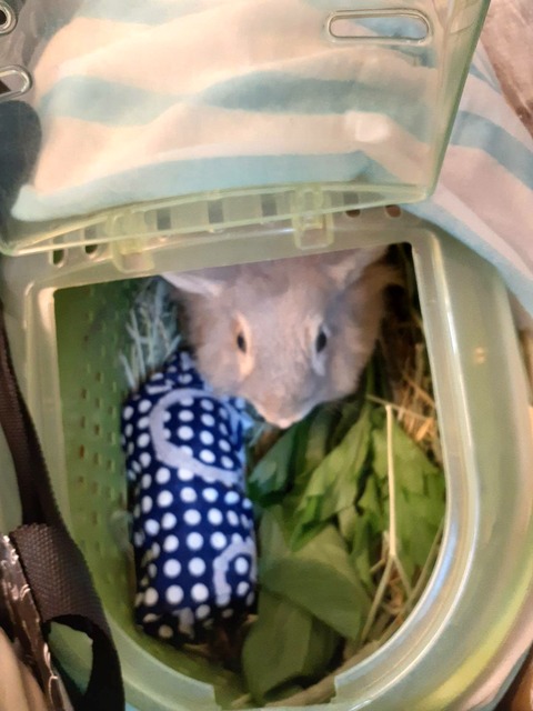 2024-07-27-17-46-07-053