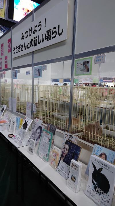 ペット王国202201