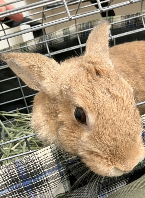 2025-12-06-00-58-50-287