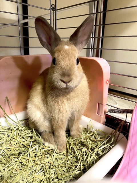 2024-08-25-23-46-59-552