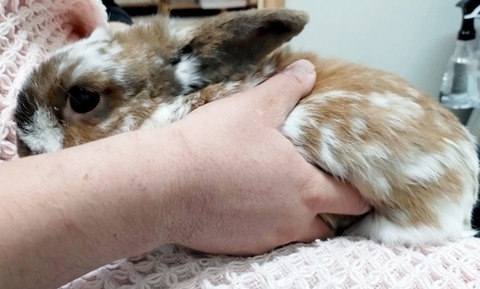 2025-04-16-17-08-24-893