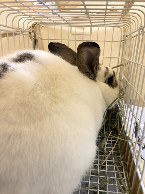 2024-07-27-17-33-42-545