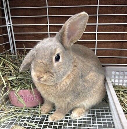 なつかくん2