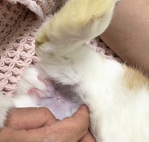 2025-12-06-01-09-20-001