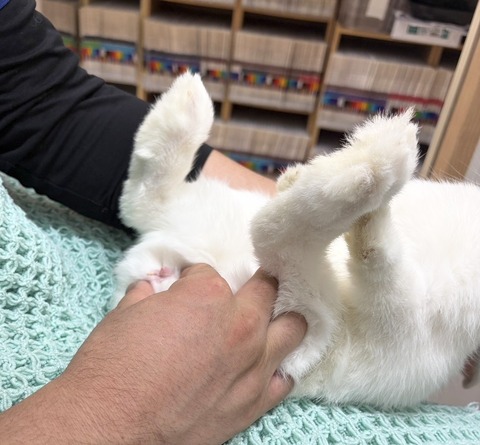 2025-12-06-00-56-54-756