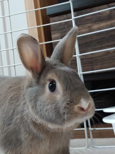 20240901_100624_convert_20240903140223