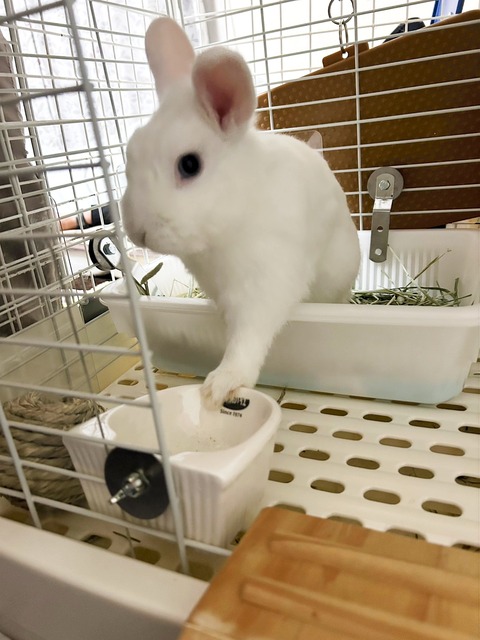 2025-02-03-00-11-08-325