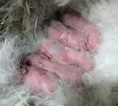 2025-03-11-16-39-18-155