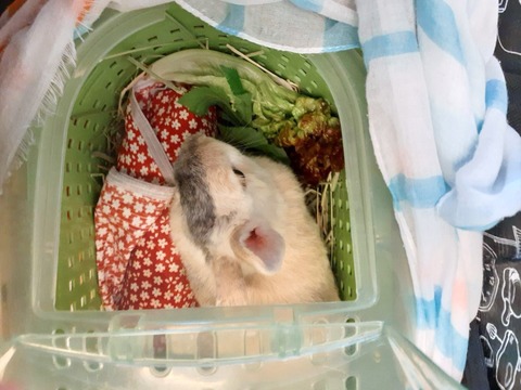 2024-07-27-17-28-31-122