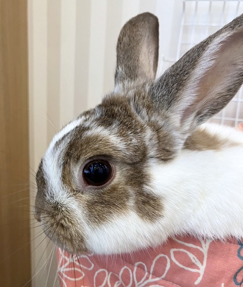 2025-05-08-00-22-12-763