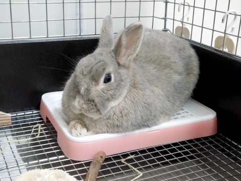 2024-10-02-16-04-30-144