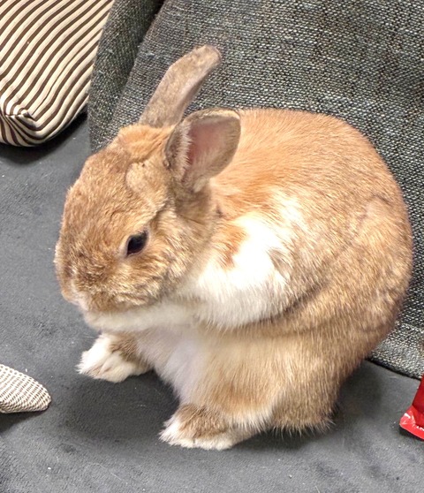 2025-05-08-00-46-07-138