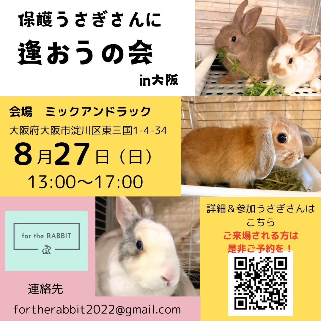 保護うさぎ譲渡会 第26回 保護うさぎさんに逢おうの会in大阪【7/27