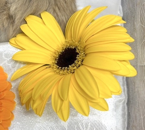 2025-05-08-00-19-54-402