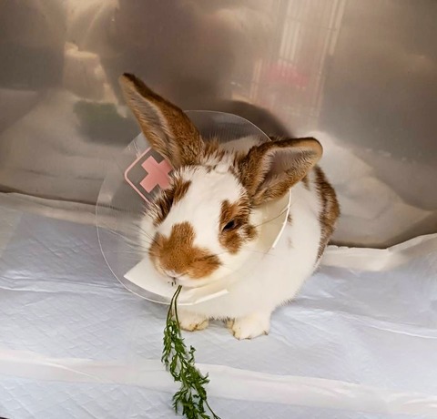 2025-12-06-01-06-10-113