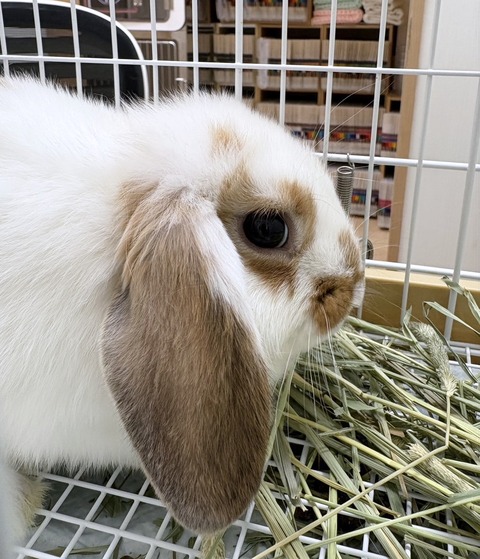 2025-05-08-19-02-29-360