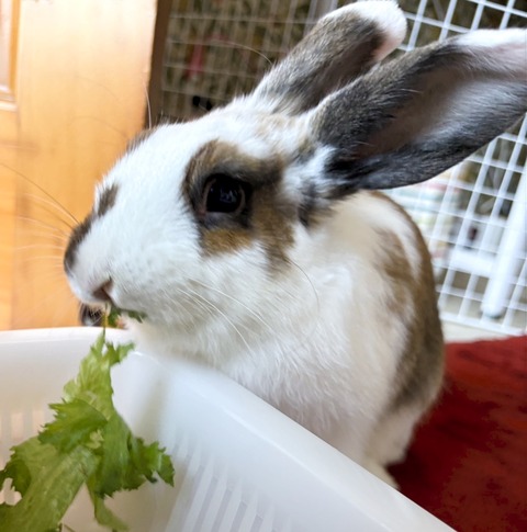 2025-05-08-00-36-10-906