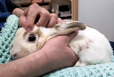 2025-04-16-17-10-14-351