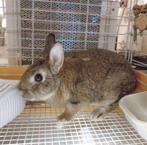 2025-12-06-01-25-09-108