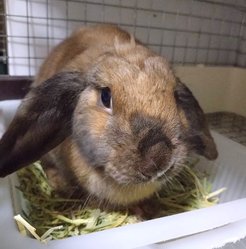 2025-12-06-01-06-41-540