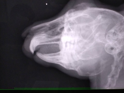 1727509840290 - コピー