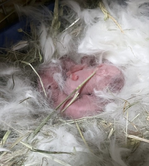 2025-03-11-16-32-22-814