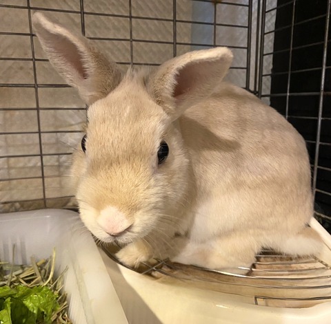 2024-07-27-17-43-24-344