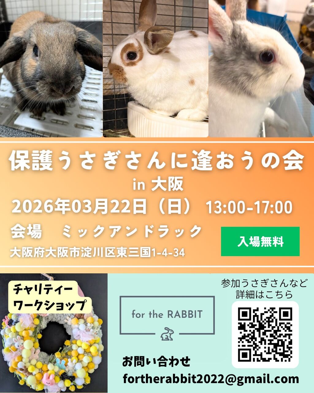 保護うさぎ譲渡会 第34回 保護うさぎさんに逢おうの会in大阪【3/22