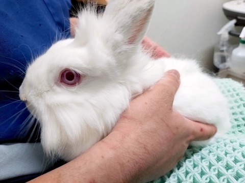 2024-07-27-17-26-43-240