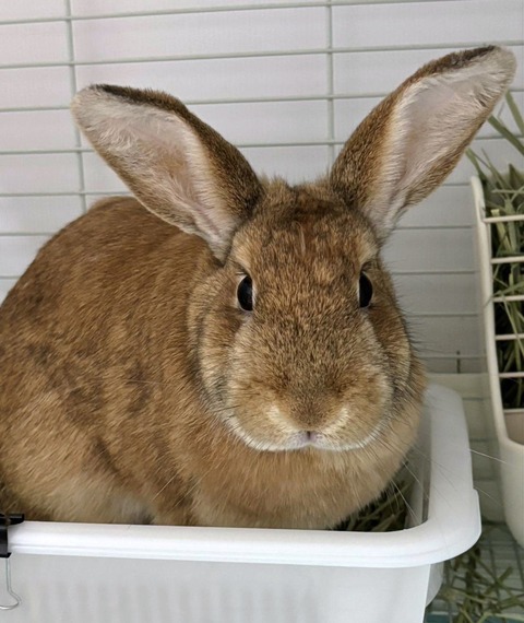 2025-05-08-02-02-29-142