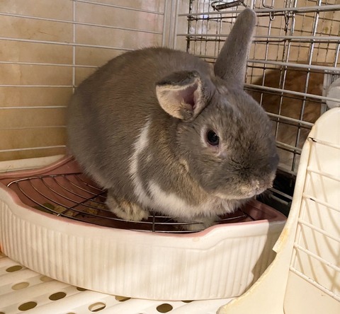 2024-07-27-17-39-08-771