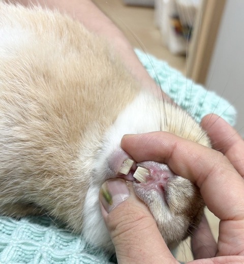 2025-12-06-20-22-00-385