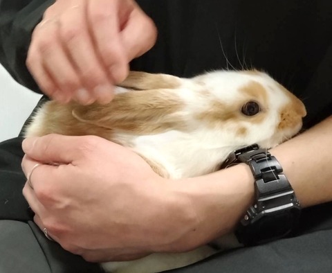 2025-05-08-00-19-08-349