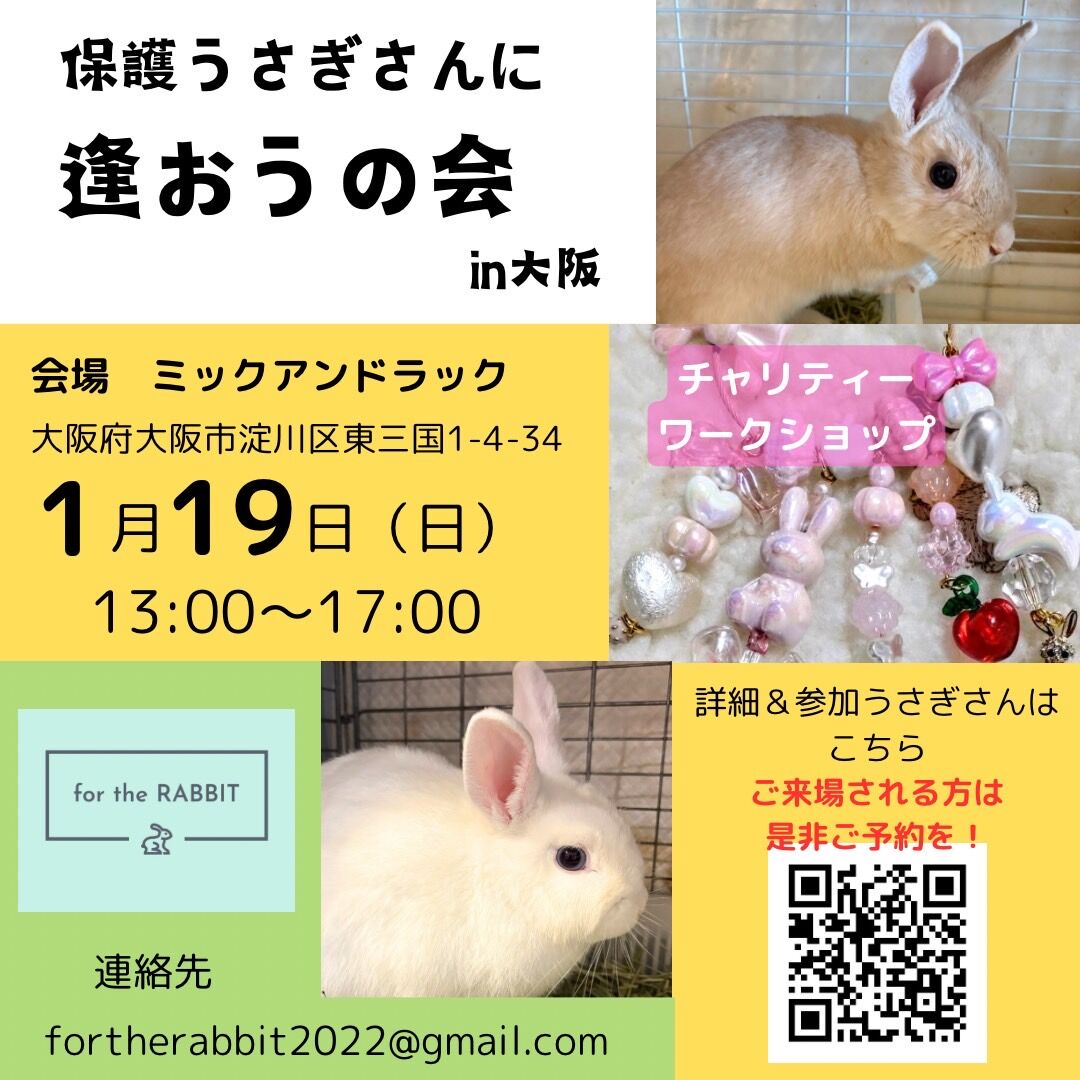 保護うさぎ譲渡会 第20回 保護うさぎさんに逢おうの会in大阪【1/19