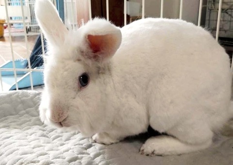 2025-02-03-00-29-51-769