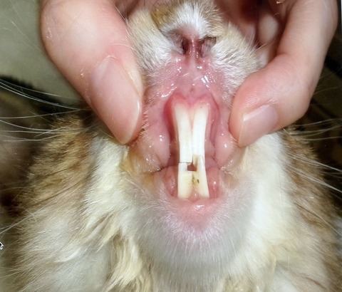 2025-05-08-00-21-05-408