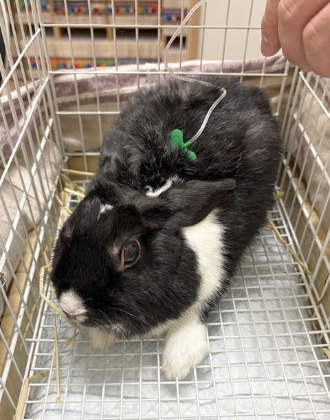 2025-12-06-00-56-09-391