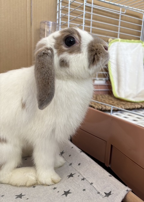 2025-12-06-01-15-24-696