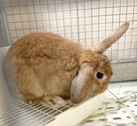 2025-12-06-00-57-22-724